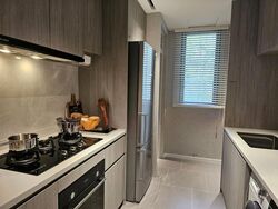 The LakeGarden Residences (D22), Condominium #506790281